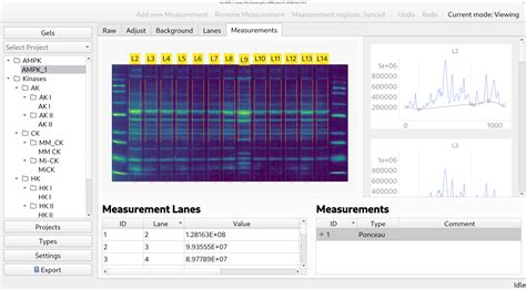 python gel|IOCBIO Gel: new open source gel analysis software.